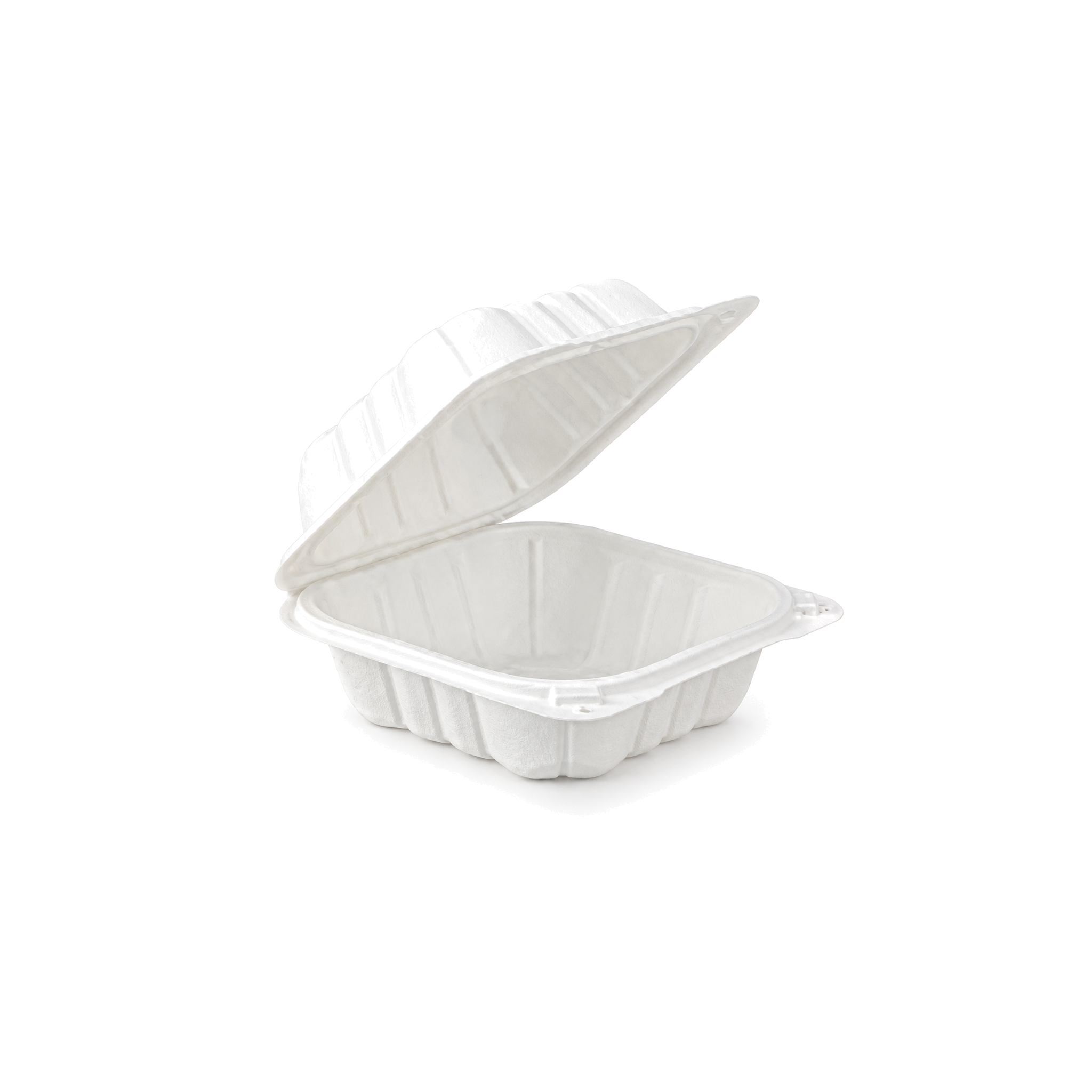 6 in 1-compartment hinged container